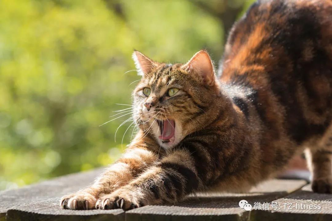 微信圖片_20210820093418.jpg 微信圖片_20210820093418.jpg