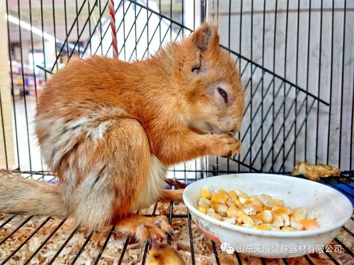 微信圖片_20210821093117.jpg 微信圖片_20210821093117.jpg