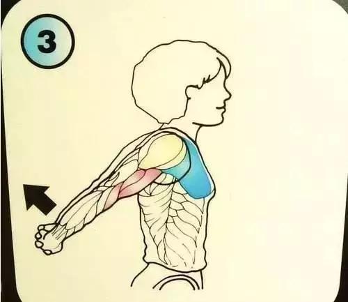 c21d14f91b564785addac742b78adedc.jpeg c21d14f91b564785addac742b78adedc.jpeg