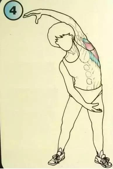 bf3cfdc007104fae95418a0b307009e3.jpeg bf3cfdc007104fae95418a0b307009e3.jpeg