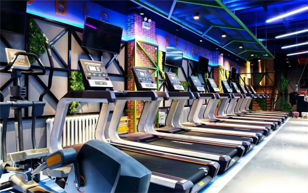 遵循健身原則，達到理想化健身效果。 